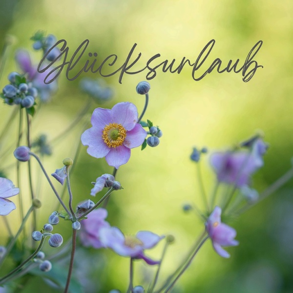 Gluecksurlaub Gluecksurlaub